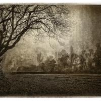 Misty landscape in the style of Alfred Stieglitze